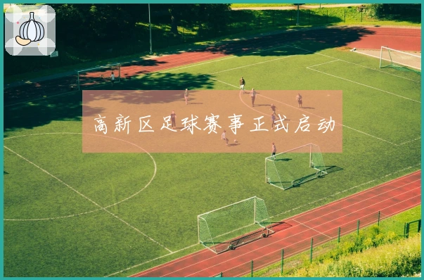 高新区足球赛事正式启动