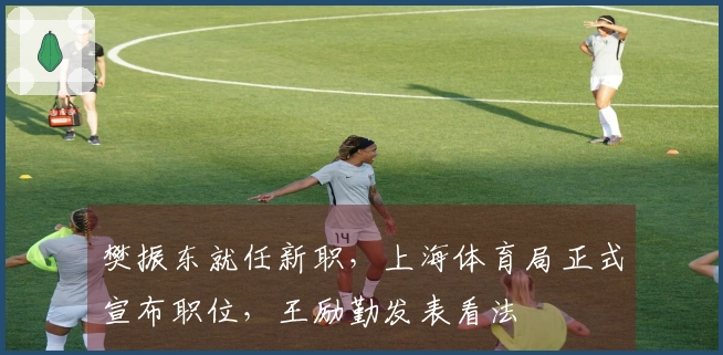 樊振东就任新职,上海体育局正式宣布职位,王励勤发表看法