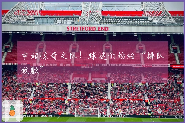 中超惊奇之队！球迷们纷纷“排队致歉”