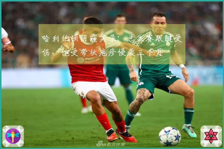 哈利伯顿阴霾实录:总决赛跟腱受伤,饱受带状疱疹侵袭三个月